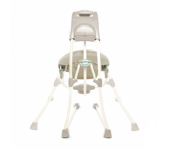 Bright Starts Качели Ingenuity 