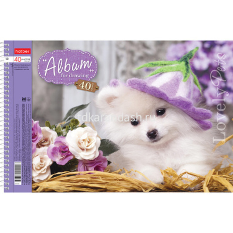 Альбом для рисования А4 40л 