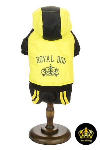 Royal Dog костюм спортивный зимний желтый 3XL