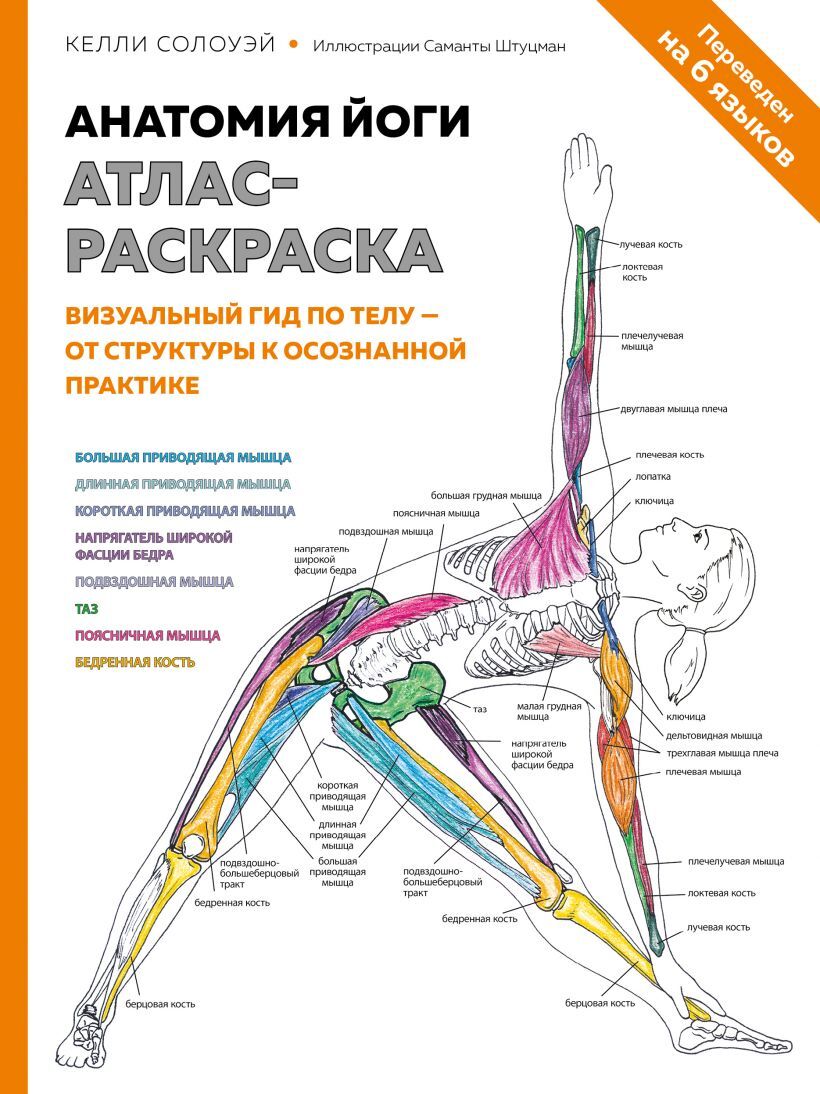 Раскраска колготки 46 фото