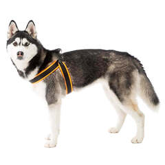 Ferplast шлейка AGILA FLUO 6 синяя