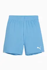 Шорты Puma teamGOAL Junior - голубой