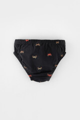 трусы/ уп  для мальчика  К 1966-3уп/холодный какао,пыльный кедр,мотоциклы