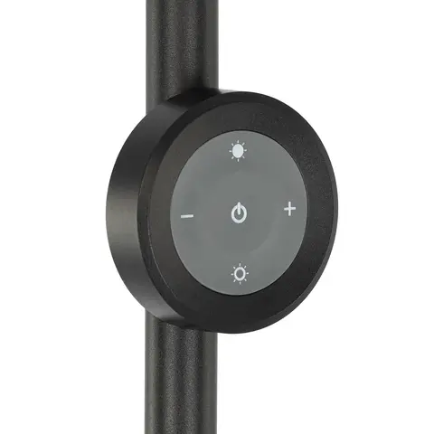 Торшер светодиодный Citilux Loong CL810031