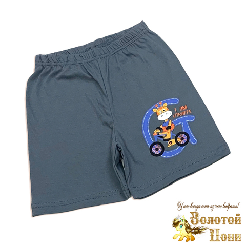 Шорты хлопок м (1-4) 260324-VT827