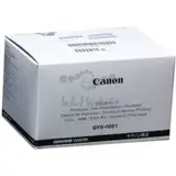 Печатающая головка Canon QY6-0081 для Pixma Pro1