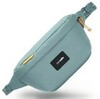 Картинка сумка поясная Pacsafe Pacsafe Go Sling мятный - 1