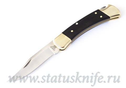 Нож BUCK Folding Hunter 110 BRS-B