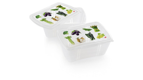 Набор контейнеров 2шт 2л SNIPS Fresh для СВЧ и заморозки