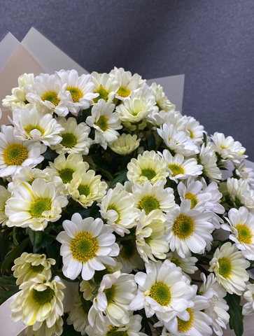 Букет ромашек