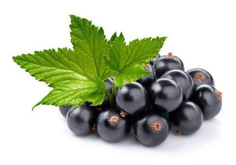 Смородина черная~500г