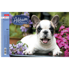 Альбом для рисования А4 40л 