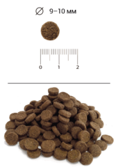 Blitz Adult Cats Poultry сухой корм для взрослых кошек с домашней птицей 2 кг