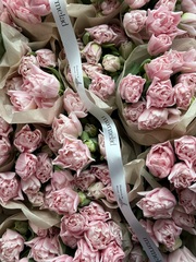 Тюльпаны пионовидные - нежно-розовый цвет