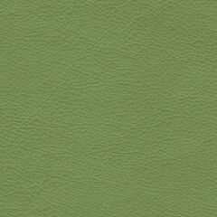 Искусственная кожа Stainless (Стейнлесс) 3823