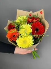 Букет из 7 гербер в пленке