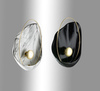 Бра Pearl Wall Lamp Black H38