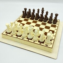 Пластиковая форма для шоколада Шахматы 16 ячеек