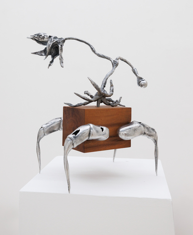 Wood Body Bug #3 из серии «Паранормальные явления» Wood Body Bug #3 из серии «Паранормальные явления»