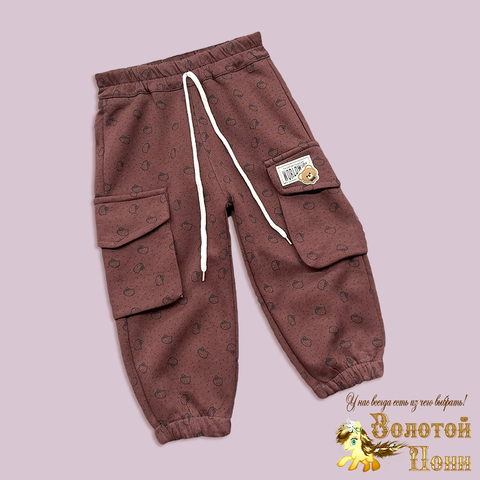 Брюки трикотаж детские (1-5) 250802-L1091