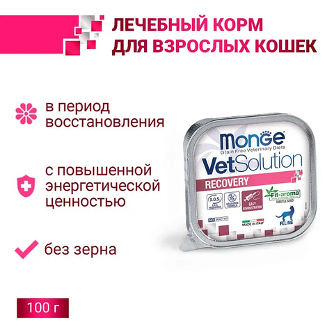 Диетический корм Monge VetSolution Cat Recovery Рекавери для кошек при восстановлении питания в период выздоровления 100 г