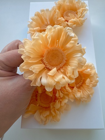 Гербера 5-7см Персиковый (6шт полная коробка)