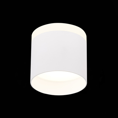 Светильник потолочный ST Luce ST102.542.09