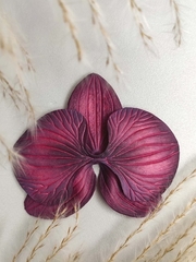 Молды пластиковые Набор 