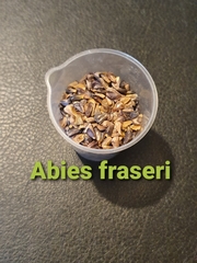 Teofrast Пихта Фразера Abies fraseri