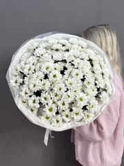 Букет с 15 кустовыми хризантемами