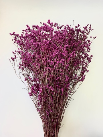 Лимониум Яркая фуксия