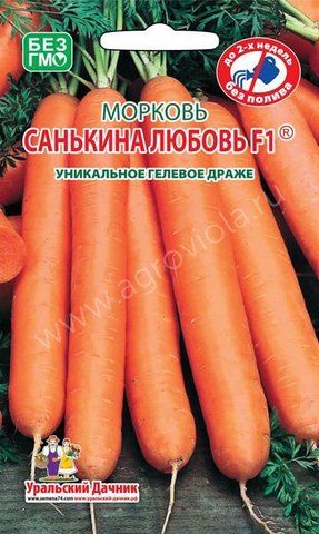Морковь Санькина любовь