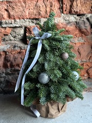 Елка из нобилиса h-25см