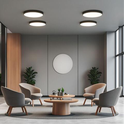 Потолочный светодиодный светильник Arte Lamp FADO A7350PL-1BK