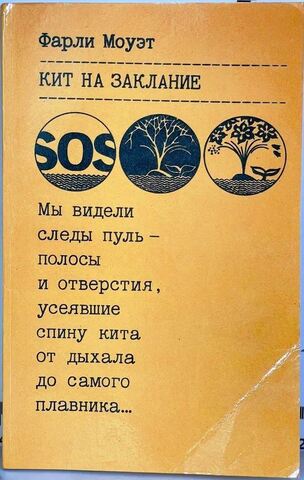 Кит на заклание