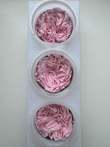 Роза сортовая 6-7см Розовый (цена за 3шт)