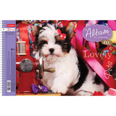 Альбом для рисования А4 40л 