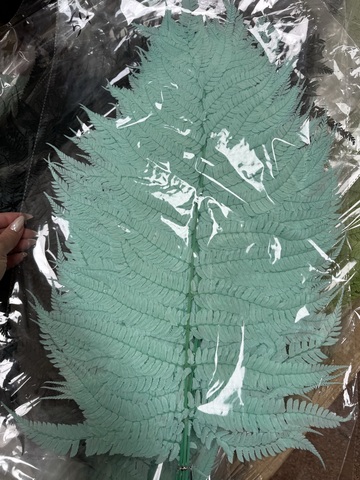 Листья папоротника большие 60-70см Тиффани (10 шт упаковка)