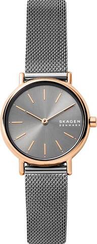 Наручные часы Skagen SKW2996 фото
