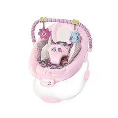 Bright Starts Кресло-качалка Комфорт и гармония 