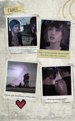 Life is Strange. Пыль