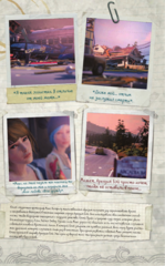 Life is Strange. Пыль