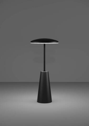 Аккумуляторная настольная лампа Eglo PICCOLA 900925