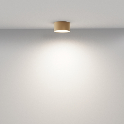 Потолочный светильник Maytoni Zon C032CL-12W4K-RD-MG