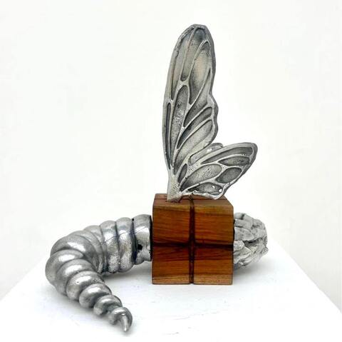 Wood Body Bug #10 из серии «Паранормальные явления» Wood Body Bug #10 из серии «Паранормальные явления»