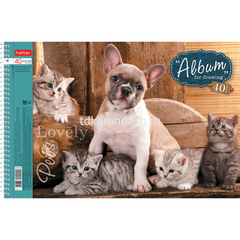 Альбом для рисования А4 40л 