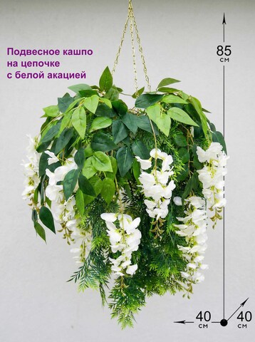 Акация белая 7 цветков в подвесном белом кашпо на цепочке