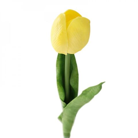 Tülpan / тюльпан  /Tulip 1 ədəd sarı