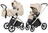 Коляска 2 в 1 Carrello Vector CRL-6550 Seashell Beige