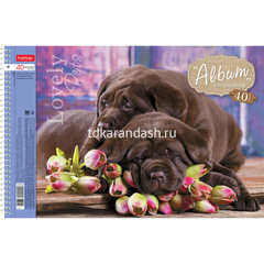 Альбом для рисования А4 40л 